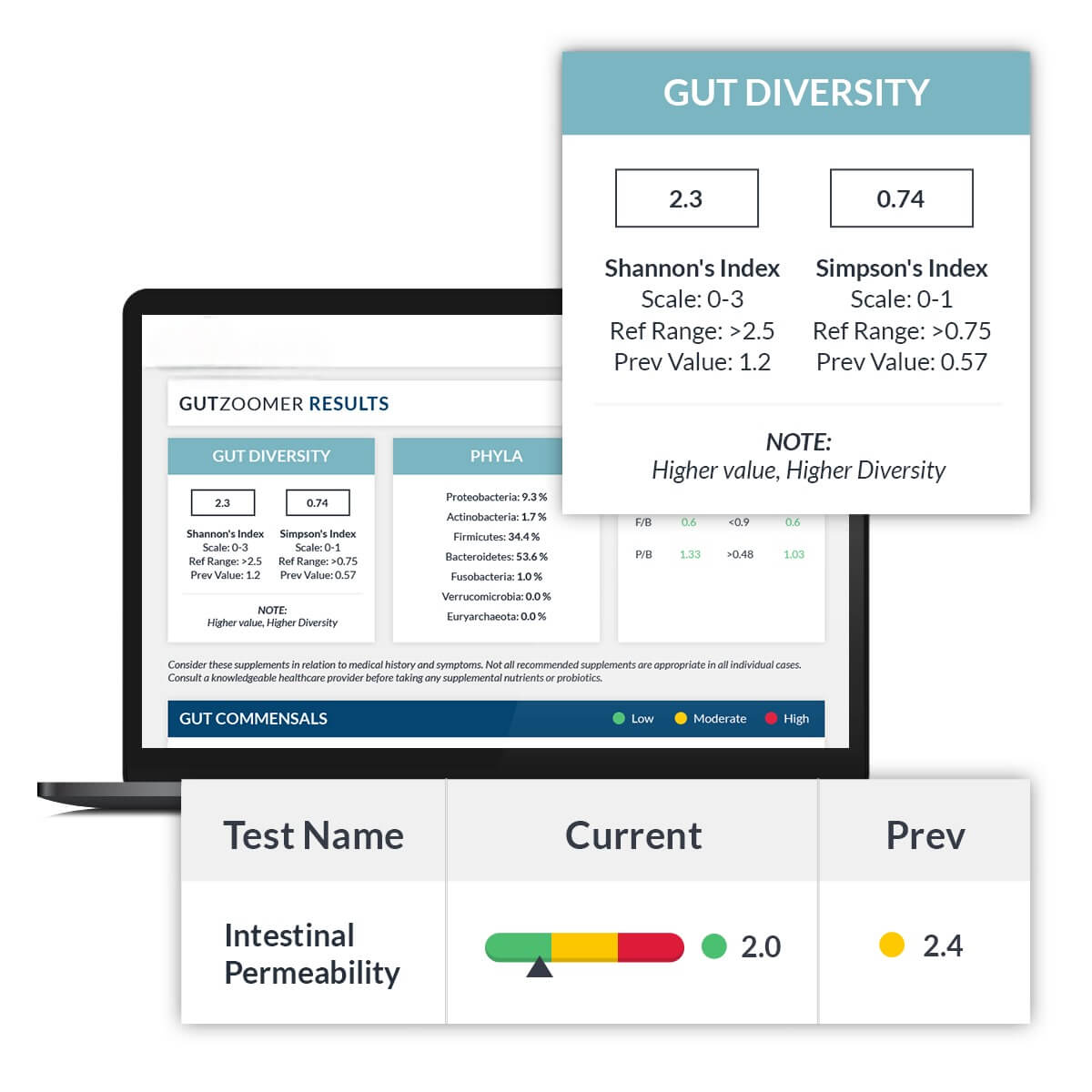 gut-one-getchecked (1)