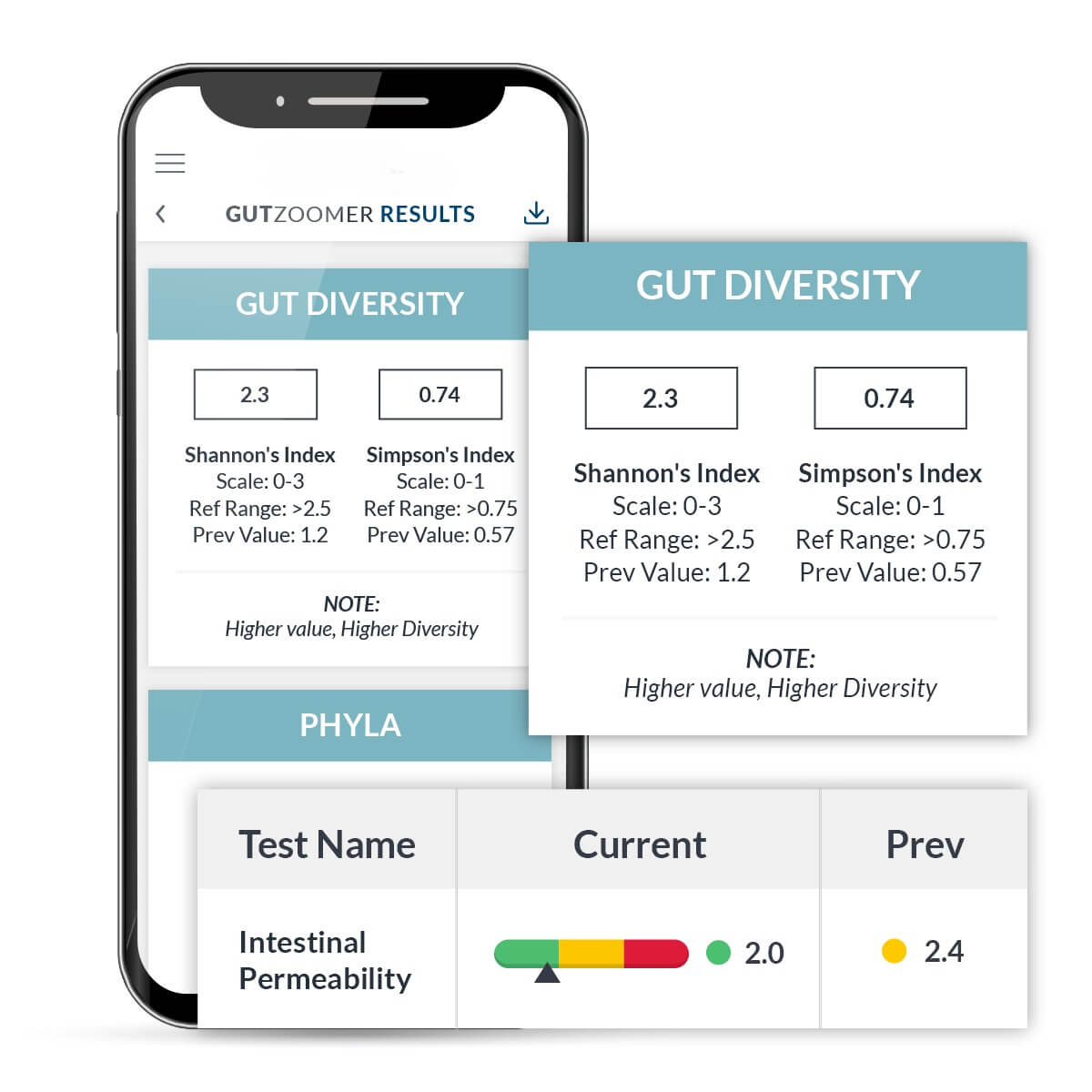 gut-two-getchecked (1)